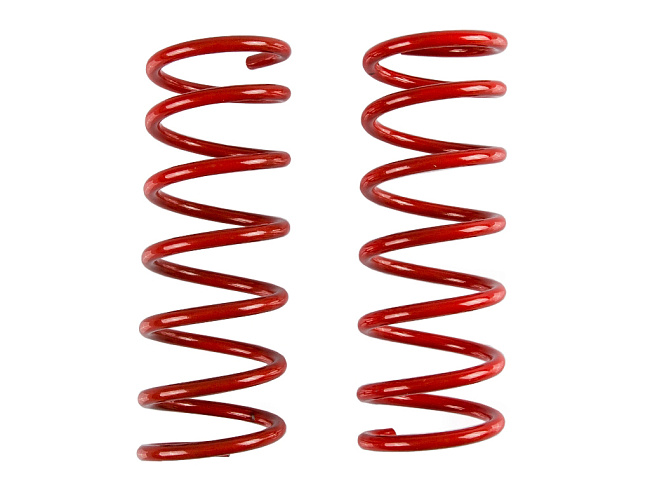 картинка Пружины подвески для Ford Focus 2 Универсал (-30) задние магазин  StreetTuning 