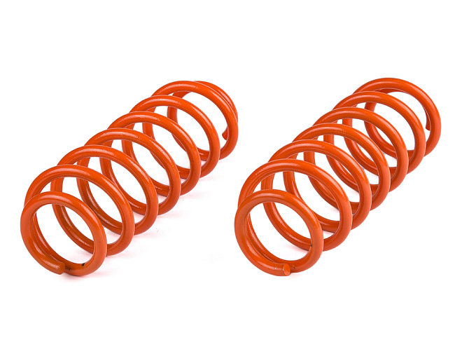 картинка Пружины подвески для Volkswagen Passat b6 (-50) задние магазин  StreetTuning 