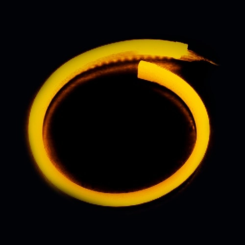 картинка Неон - Flex, цвет желтый. магазин  StreetTuning 